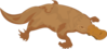 Brown Platypus Clip Art